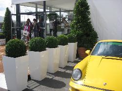 Dekorationsbeispiel Porsche & Volkswagen 003